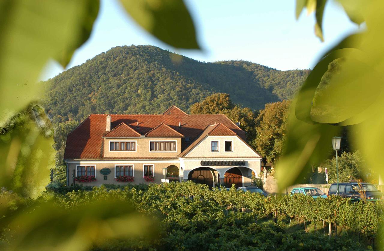 Weingut-Pension Stockingerhof Dürnstein Exteriör bild